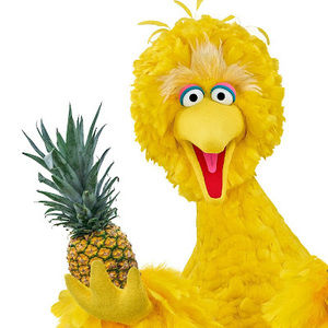 Meet your Posher, Luke